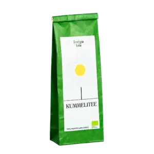 Energiatalu-kummelitee