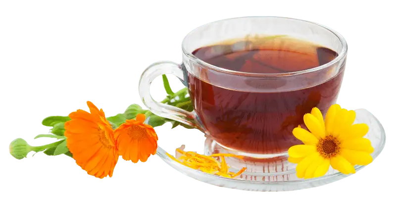 Energiatalu_teetseremooniad