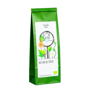 Energiatalu-kurgutee