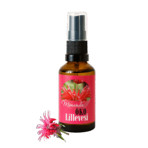 Energiatalu-monarda-lillevesi