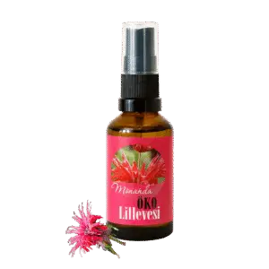 Energiatalu-monarda-lillevesi