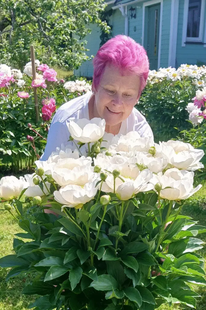 Energiatalu perenaine Tiiu